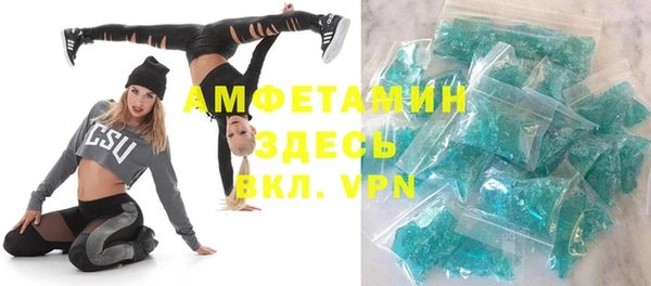 крисы Богородицк