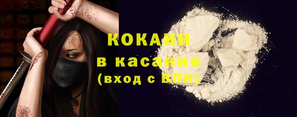 крисы Богородицк