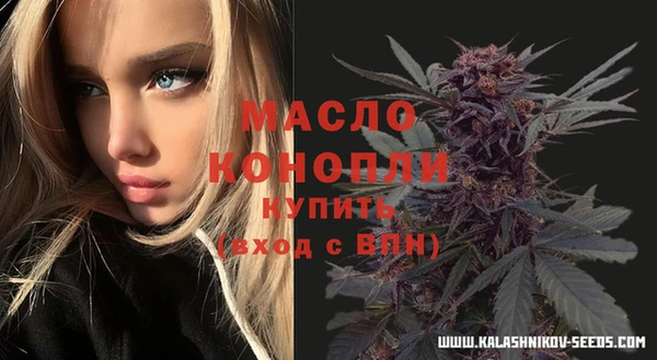 крисы Богородицк
