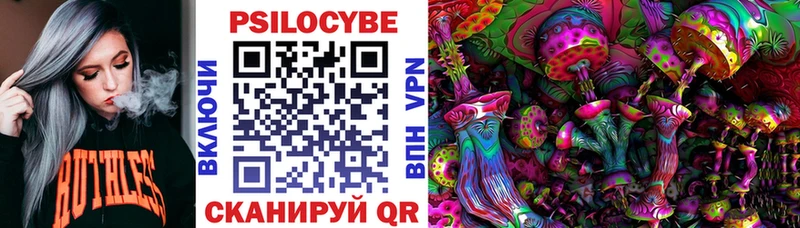 Псилоцибиновые грибы Psilocybe  Купить  Усмань 